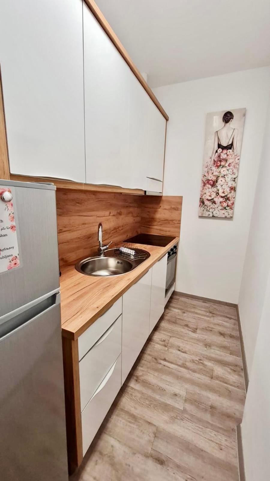 Ljubljana Central Lux Apartment With Free Parking المظهر الخارجي الصورة